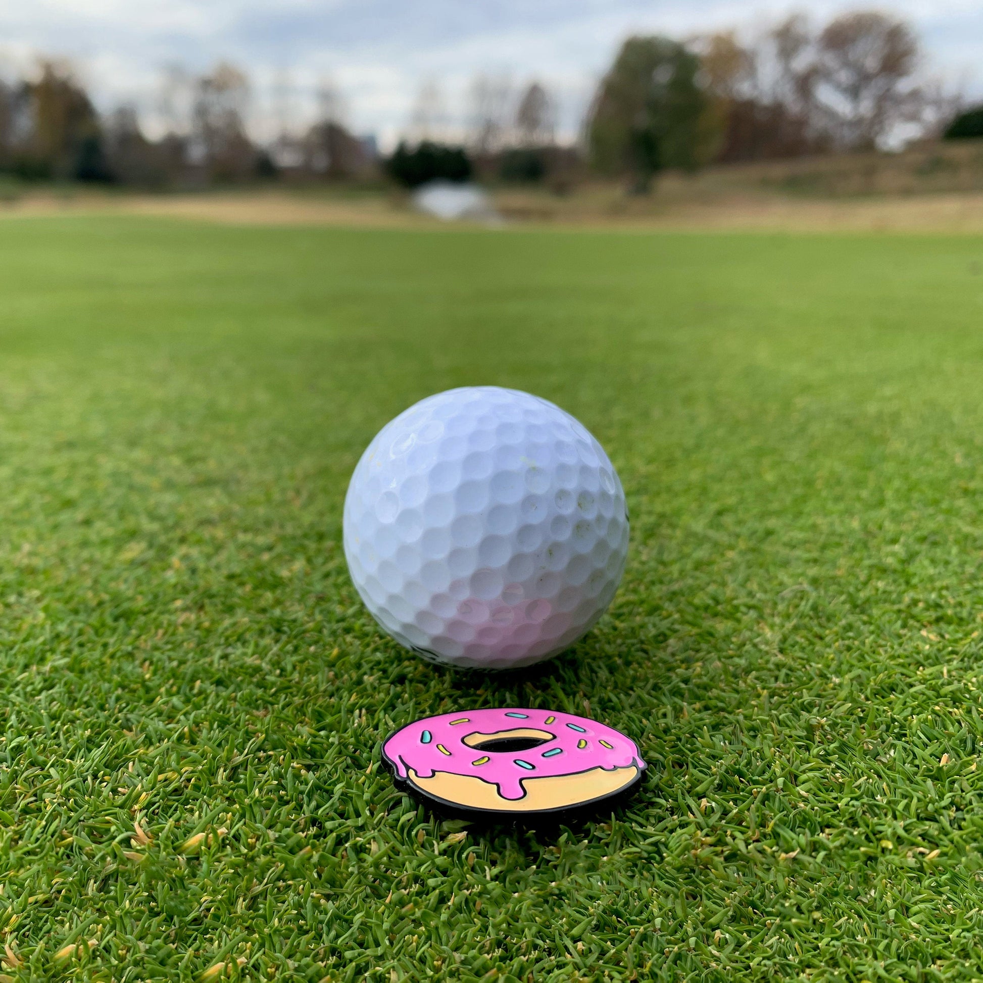 Birds Aren't Real Golf Ball Marker — Magnetic — photo 4 of 4